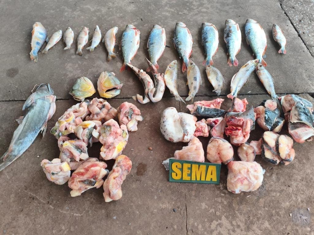 Pescados irregulares são apreendidos em estabelecimento às margens do Rio Cuiabá