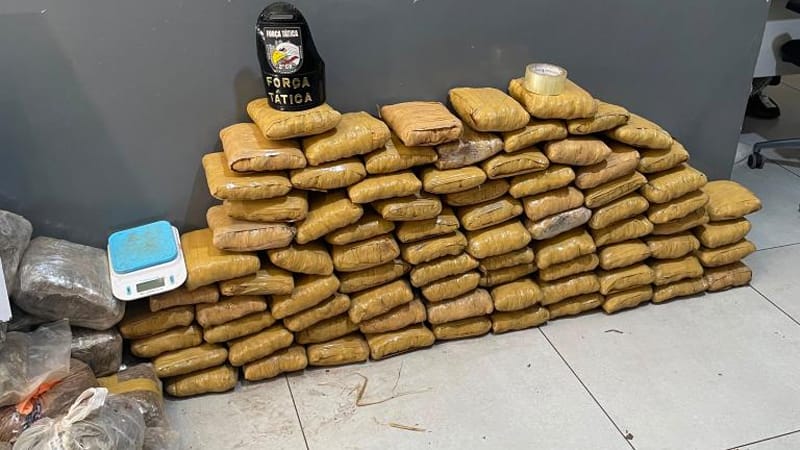 PMs da Força Tática apreendem 169 tabletes de maconha em VG; suspeitos foram presos