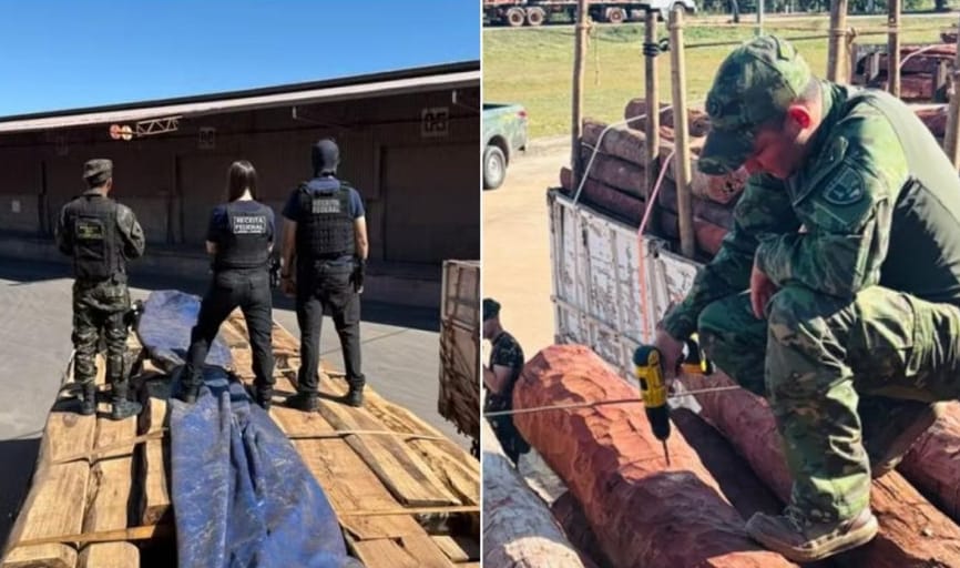 Polícia Federal flagra caminhões escondendo drogas em madeiras; Gefron apoiou ação