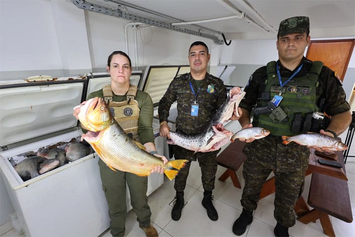 Operação conjunta apreende quase uma tonelada de pescado irregular em Cuiabá