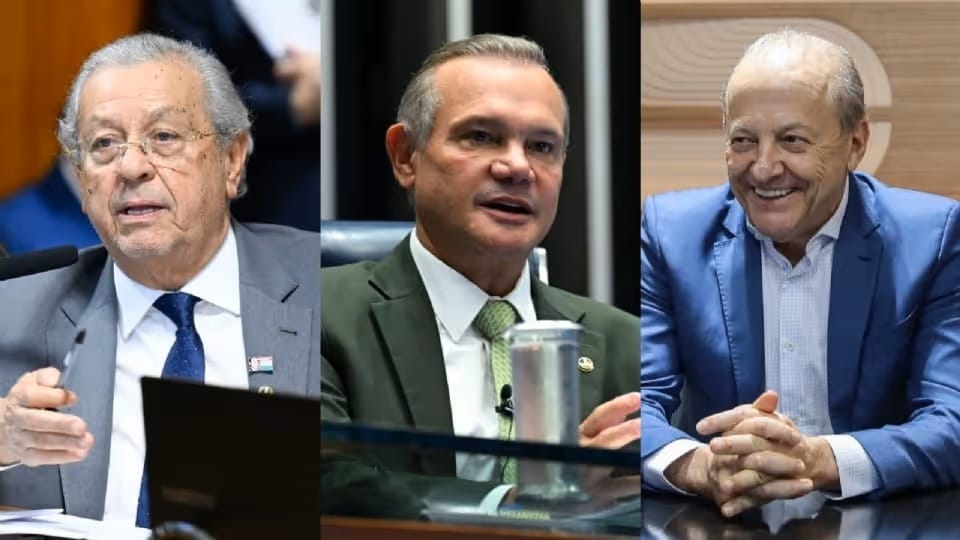Percent Brasil: Wellington lidera, Pivetta e Jayme empatam na segunda colocação
