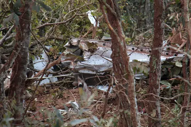 Avião de táxi aéreo cai em área de mata em Campo Grande e deixa dois mortos