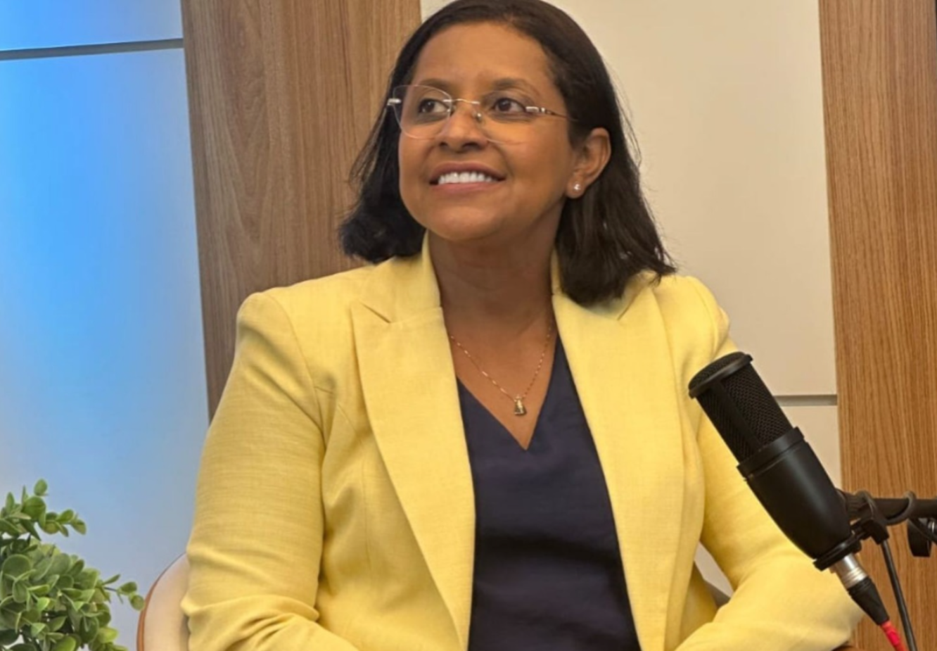 Fraudes, bets e golpes digitais recolocam defesa do consumidor no centro do debate, diz Gisela