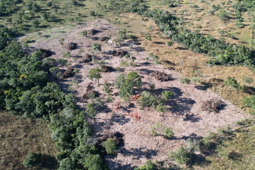 Área é embargada após denúncia de desmatamento irregular; imóvel não possui CAR