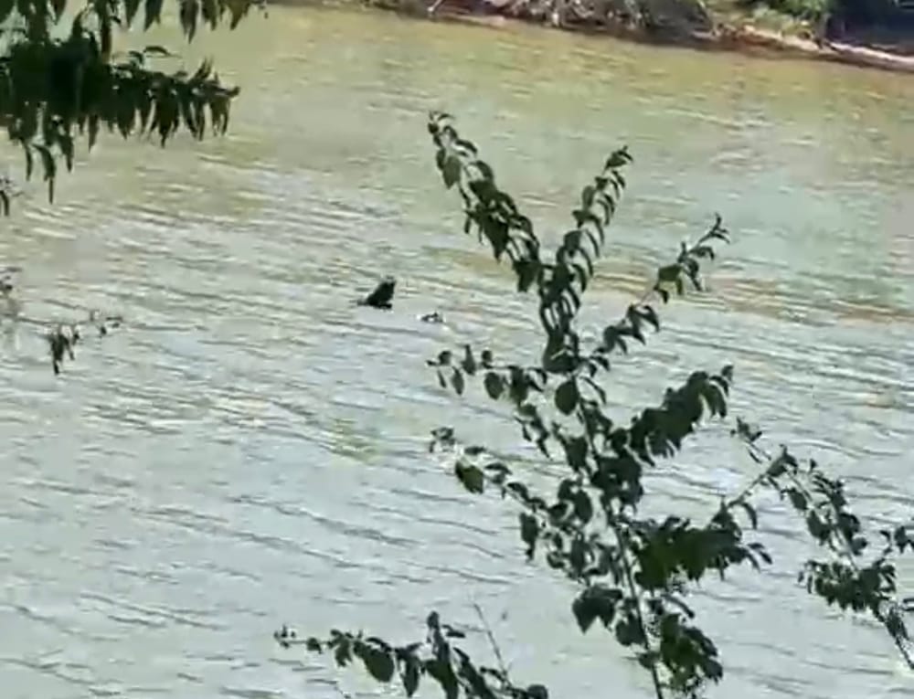Corpo boiando no Rio Cuiabá é identificado; vítima usava tornozeleira e foi executada a tiros