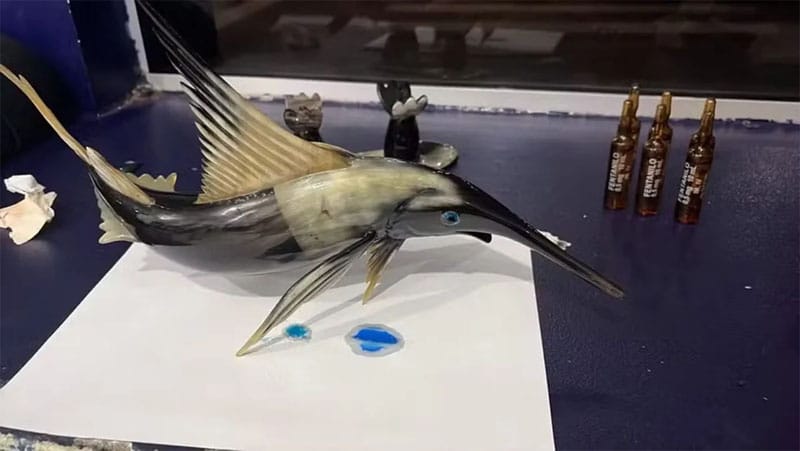 Cocaína em peixe: PRF intercepta em Rondonópolis carga do Peru que iria para Brasília