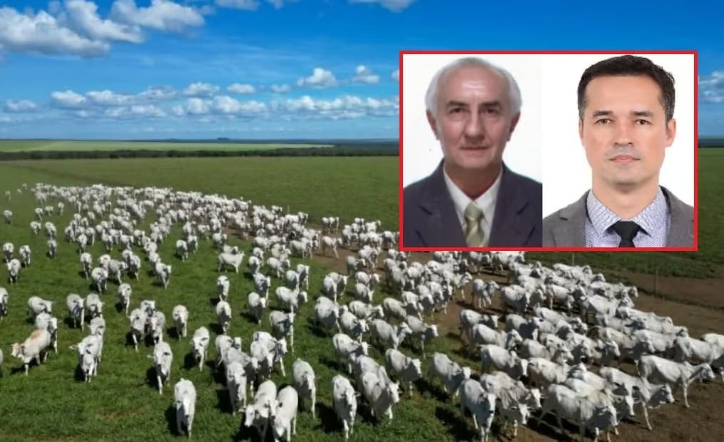Juíza determina desocupação imediata de área em MT ocupada por tio de Deltan Dallagnol