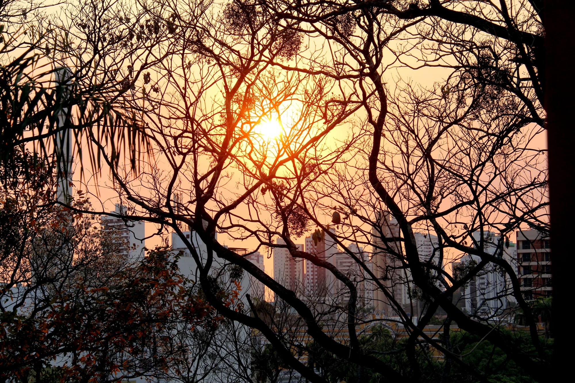 Cuiabá terá segunda-feira de calor intenso e baixa umidade; Defesa Civil faz alerta