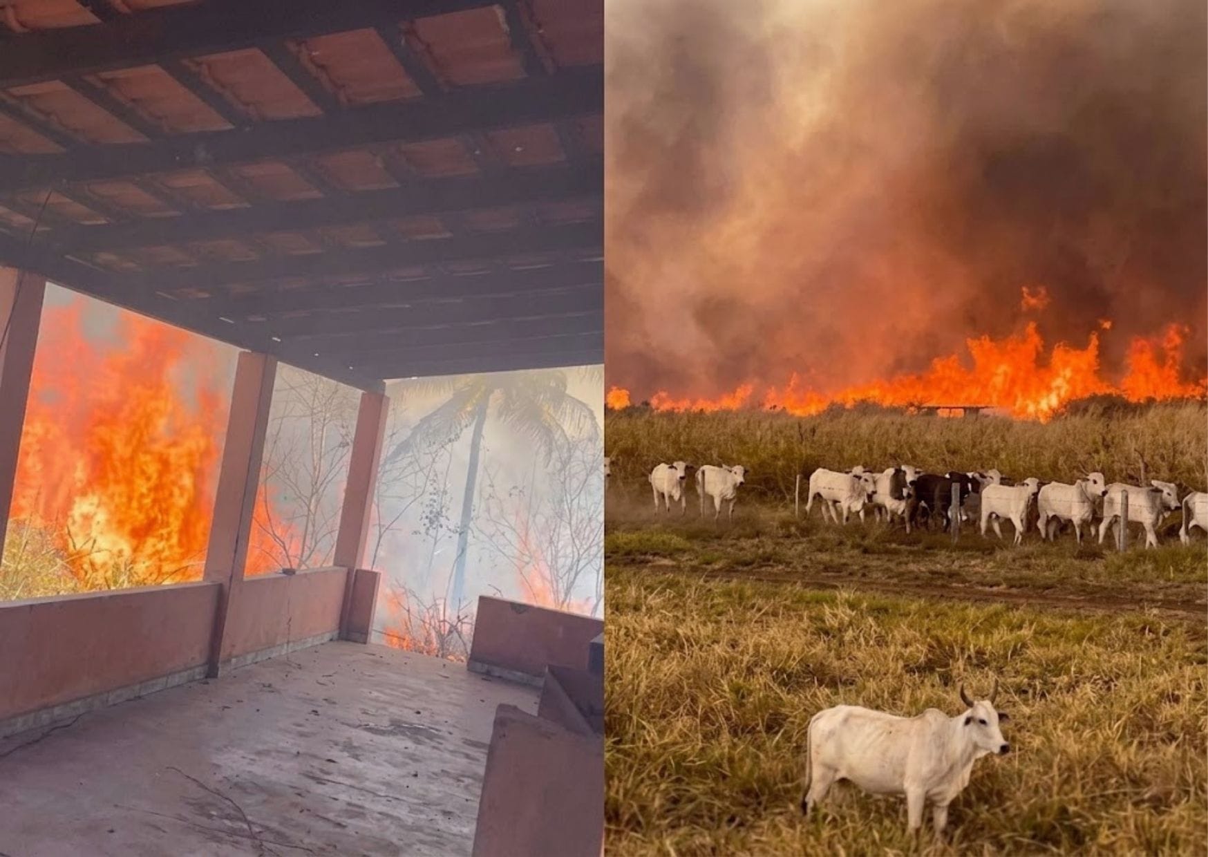Incêndio de grandes proporções ameaça área urbana e mobiliza aeronaves no combate