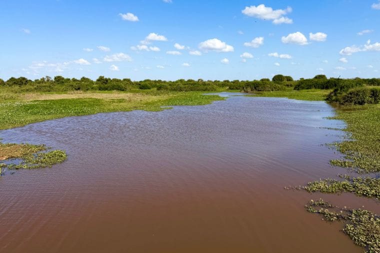 Crise hídrica: MPE cobra estudos sobre influência da UHE Manso na seca do Pantanal