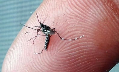MPF encerra investigação sobre contrato de R$ 1,8 milhão para kits contra dengue