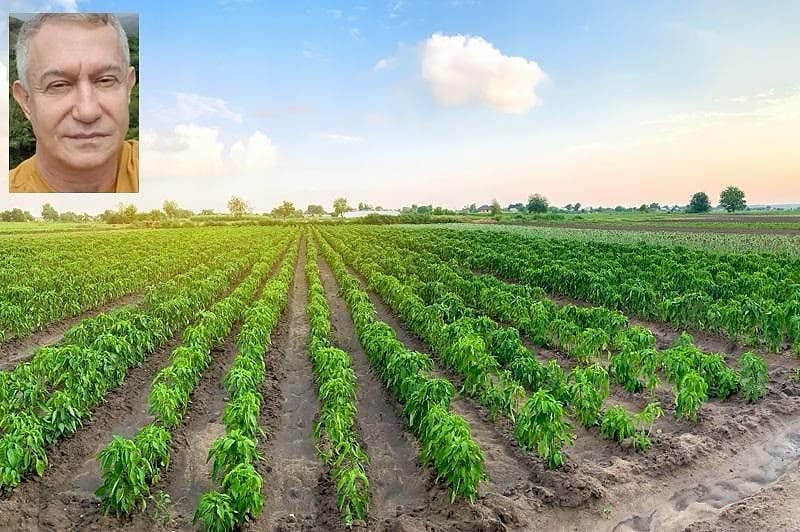 Justiça decreta falência de grupo do agro com dívida de R$ 60,5 milhões em MT