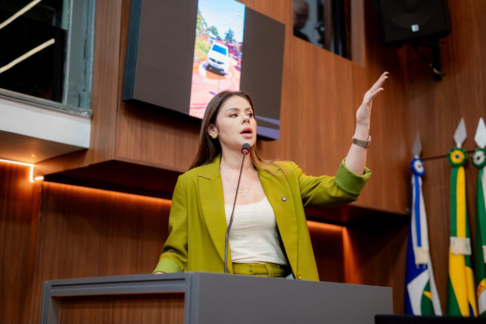 Michelly defende porte de arma para mulheres com medida protetiva: "Direito de escolher"