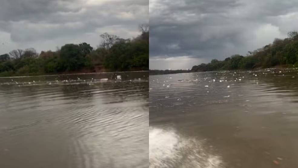 Triste realidade: vídeo mostra Rio Cuiabá tomado por lixo após forte chuva na Capital
