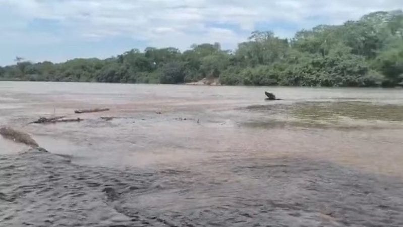Policial de folga escuta gritos e salva duas crianças de afogamento em rio de Cuiabá