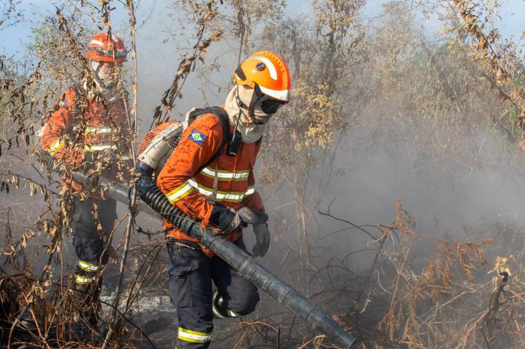 MT registra redução de 82%; menor número para o mês de setembro desde 1998