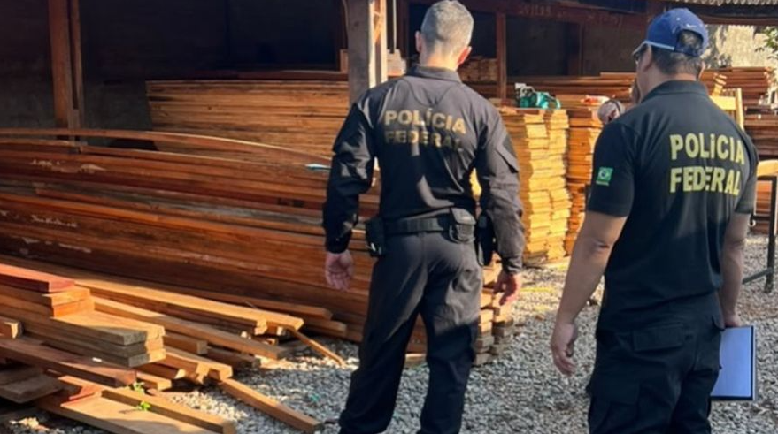 Operação da PF mira grupo criminoso suspeito de fraudar comércio de madeira nativa