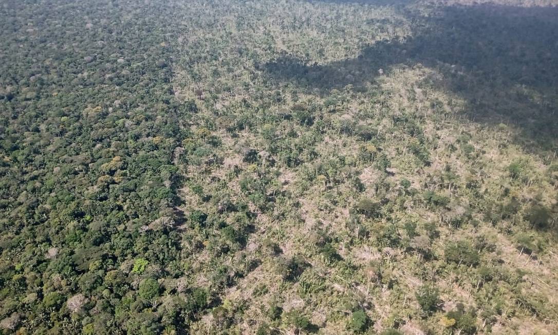 Justiça acolhe argumentos da DPU e manda retirar ocupantes da Terra Indígena Piripkura, em MT