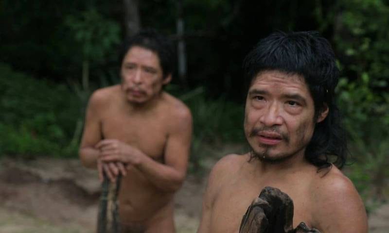 Justiça manda retirar invasores da Terra Indígena Piripkura e fixa multa diária de R$ 500
