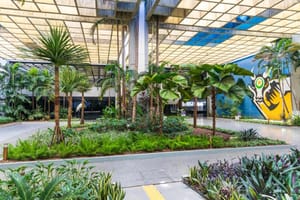 Governo de MT publica decreto; margem consignável passa a ser única, limitada a 35%