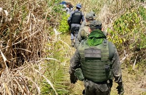 PM fecha área de desmatamento ilegal em fazenda e prende três homens em flagrante