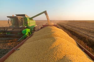 Justiça de Mato Grosso encerra recuperação judicial de produtores rurais em Sinop