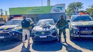 Ação conjunta da PRF, Gefron e Força Tática apreende "supermaconha" na BR-070