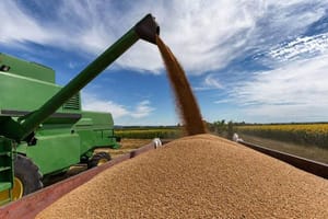 Justiça homologa plano de Recuperação Judicial de R$ 130 milhões do Grupo Zilio