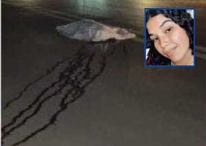 Adolescente na garupa de moto é atingida por carreta e morre a caminho de festa