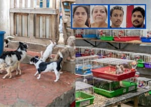 Justiça concede liberdade a família acusada de maus-tratos a cães e roedores
