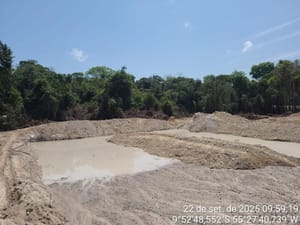 Batalhão Ambiental da PM fecha garimpo e local de extração ilegal de madeira em 2 cidades