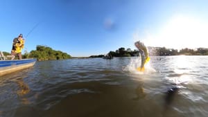 Confira as dez cidades de Mato Grosso com os melhores destinos para pesca esportiva