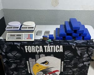 Policiais da Força Tática apreendem dez tabletes de maconha e prende mulher