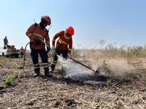 MT tem redução histórica de focos de calor; Bombeiros reforçam alerta à população