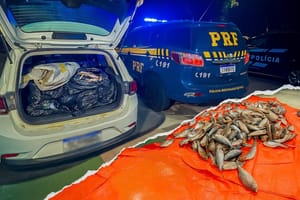 PRF apreende carga irregular de peixes e prende motorista em Várzea Grande