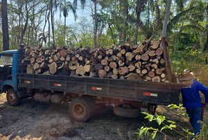 Operação da Polícia Federal combate desmatamento ilegal em Pontes e Lacerda
