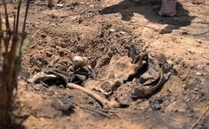 Ossos humanos são encontrados em área de mata em Várzea Grande