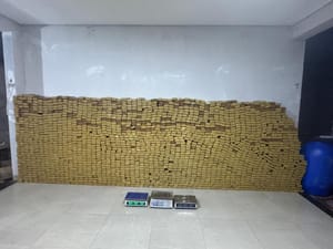 Suspeitos são presos em flagrante e 2 mil tabletes de maconha são apreendidos