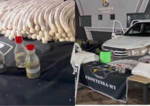 Homem é capturado com arsenal explosivo em caminhonete que seria usado em garimpo ilegal