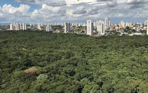 Justiça nega pedido de reintegração de posse de fazenda no sucuri à Damata