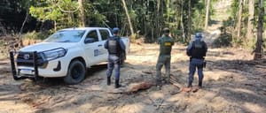 Fiscalização ambiental apreende equipamentos e aplica R$ 130 mil em multas em Apiacás