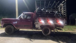 Furto de gado termina com prisão de suspeito e animais recuperados em Dom Aquino