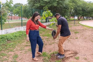 Cuiabá inicia plantio de 300 árvores para recuperar áreas desarborizadas do Parque Tia Nair