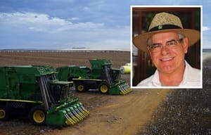 Dívida do Grupo Pupin cresce R$ 15 milhões ao mês e recuperação judicial é questionada