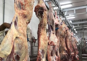 Exportações de carnes de MT crescem 43,12% e ultrapassam US$ 3,8 bilhões em 2025