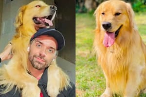 Justiça reconhece legitimidade da Defensoria Pública em ação coletiva contra companhia aérea