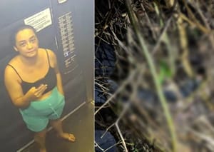 Corpo de corretora desaparecida é encontrado em Goiás; síndico e filho são presos