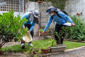 Cuiabá registra queda de 93,5% nos casos de dengue e chikungunya no início de 2026
