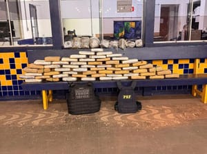 Força Tática e PRF apreendem 73 quilos de "supermaconha"; prejuízo ao tráfico é de R$ 300 mil