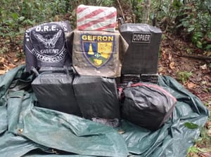 Forças de segurança interceptam meia tonelada de cocaína e prendem piloto em operação